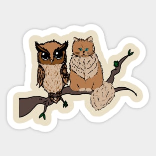 Owl and cat Sticker